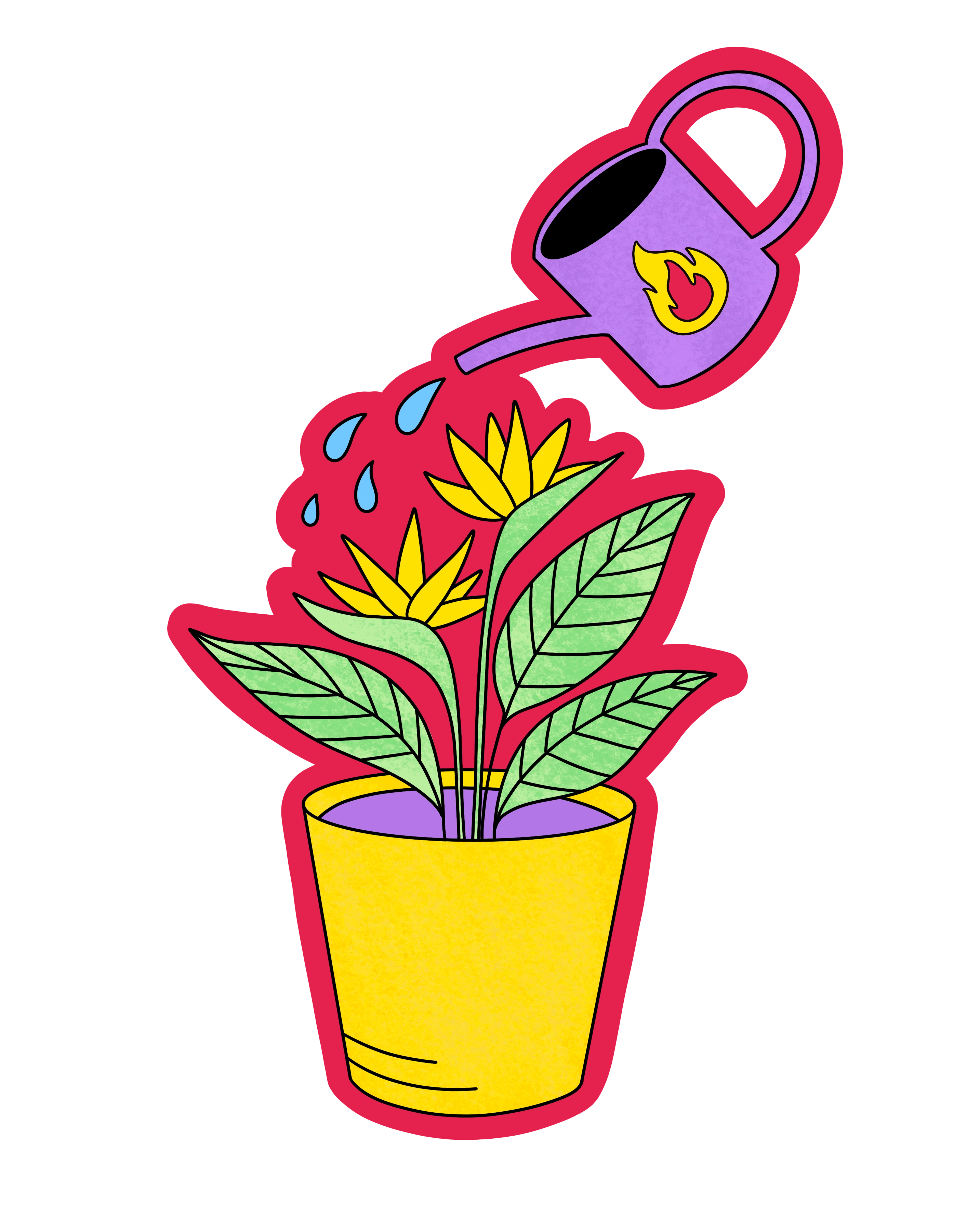 illustration